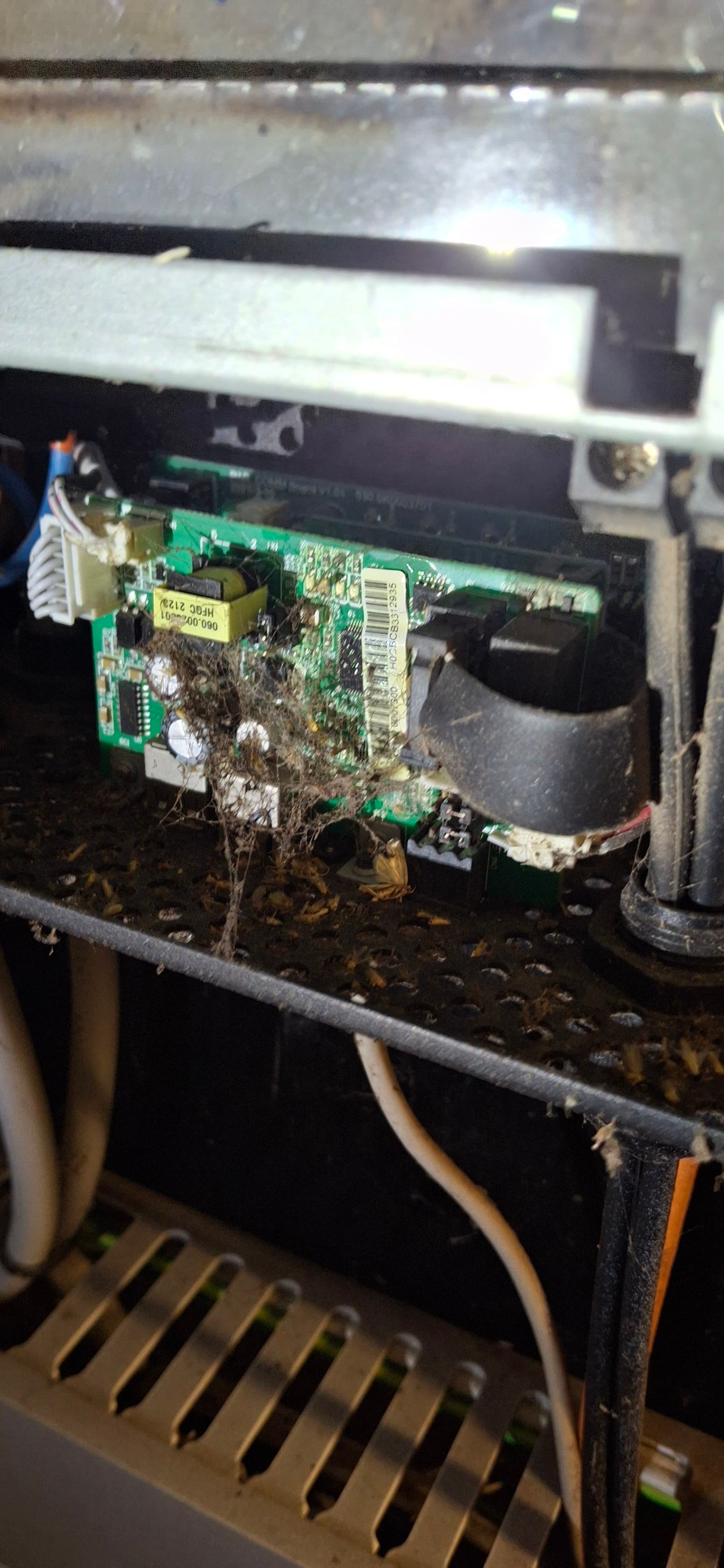 Dust and cobwebs on a split system control board found during a fault-finding inspection